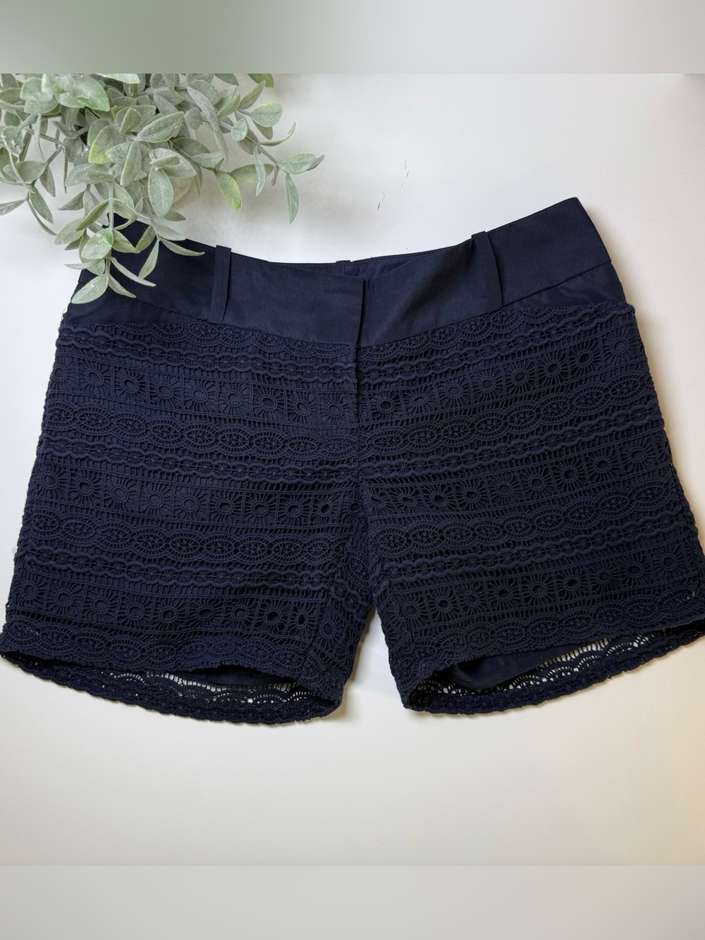 The Limited Women's Navy Lace Shell Shorts Women’s Size 0